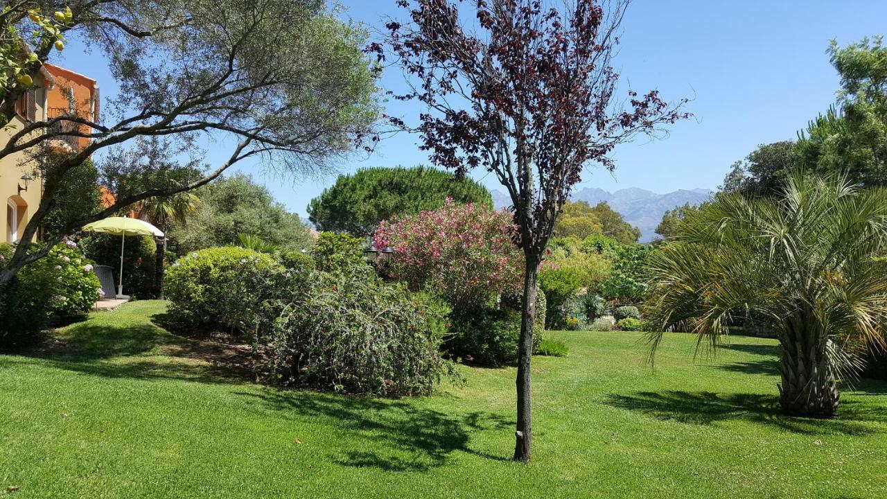 Residence A Merula Calvi  Kültér fotó